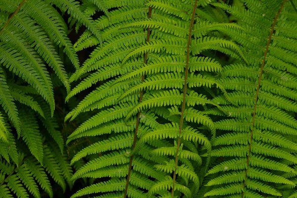 Découvrez l'origine du travertin pour la décoration intérieure