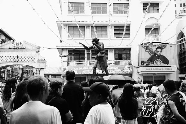 Conseils essentiels pour abattre un arbre en toute sécurité