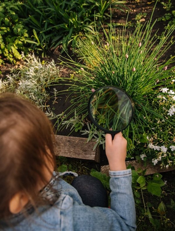 Comment créer des jeux de jardin écologiques pour les enfants ?