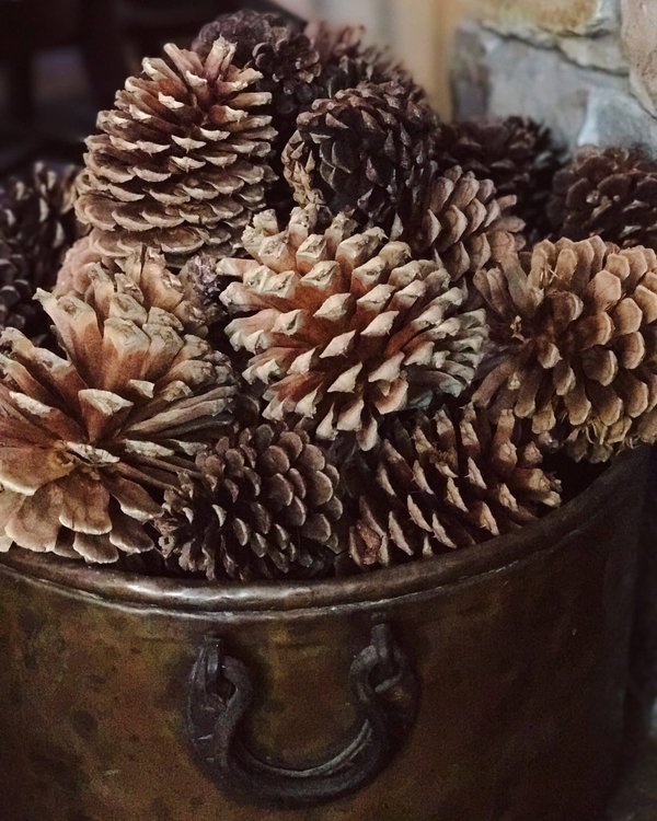 Comment organiser un ciné-club pour promouvoir le dialogue interculturel?