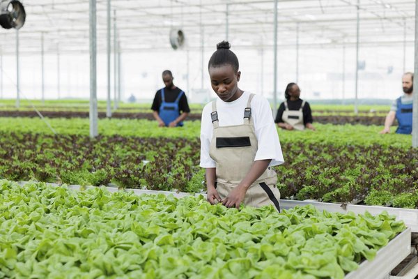 Quels sont les secrets pour rédiger un mémoire de master en sciences humaines ?